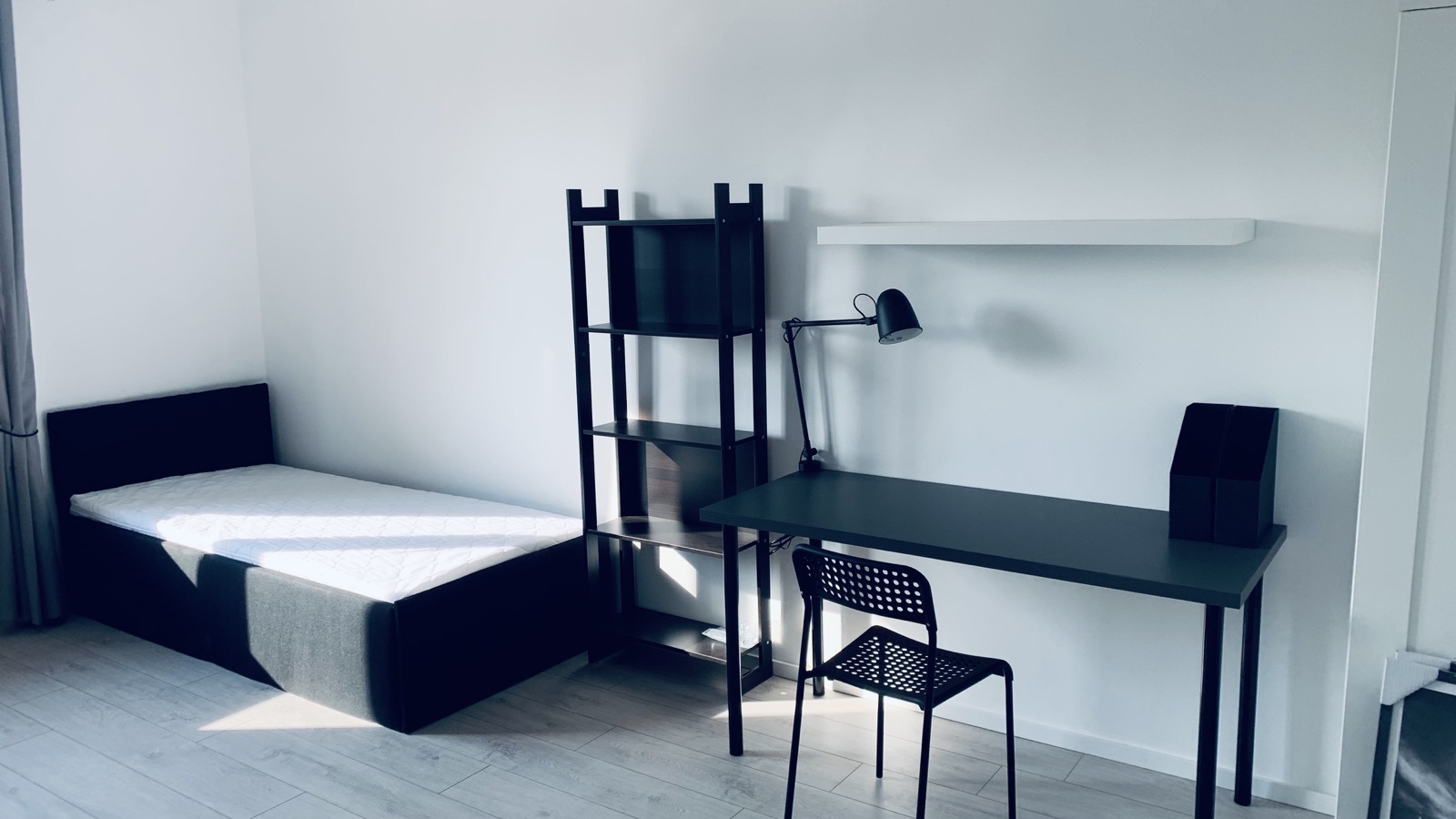 Bed, sofa bed and workspace