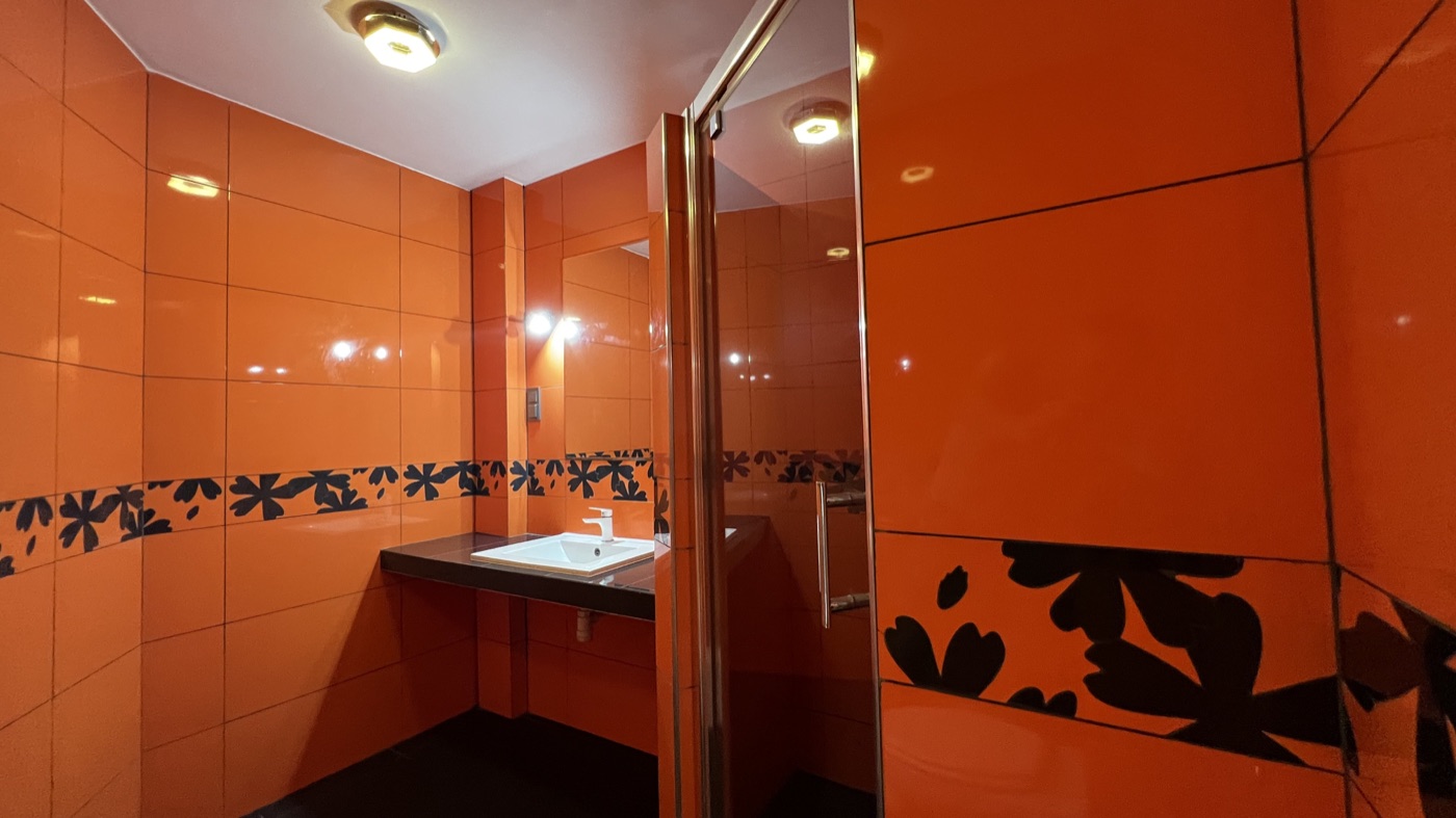 Shared bathroom in the Wrońskiego apartment, view 5